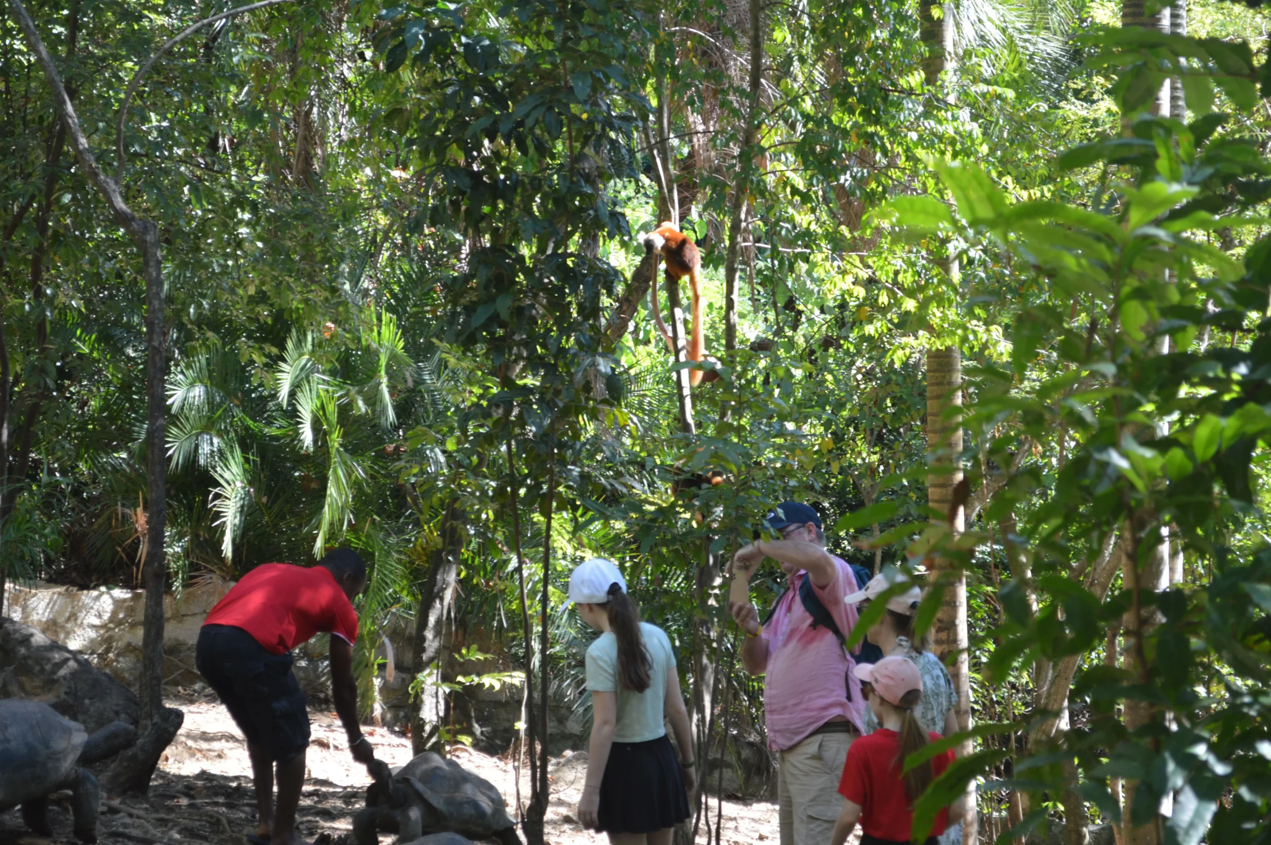 Tsingy Madagascar