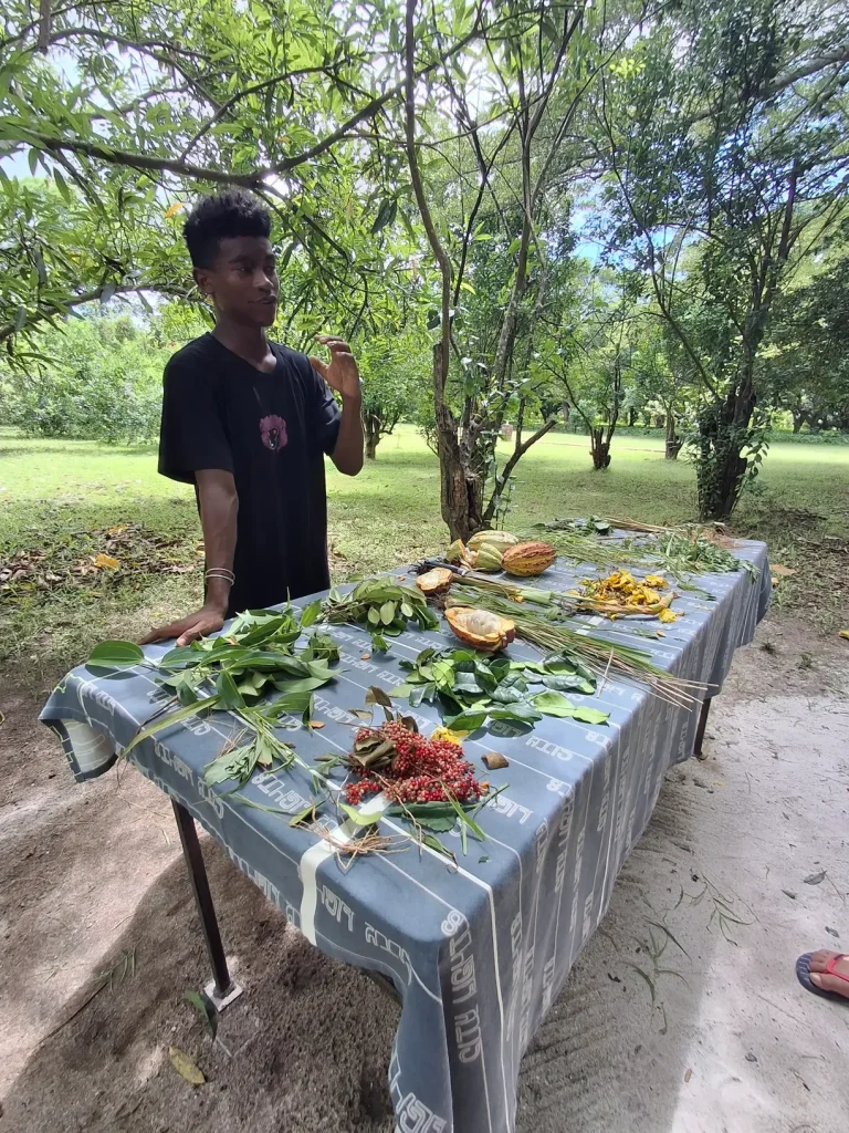 Présentation d'échantillons de plantes, graines et fruits sur une table lors d'une excursion de tour de l'île à Nosy Be, Madagascar